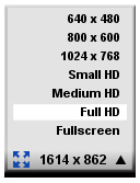 Video Size