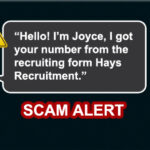 Hays Recruitment Job Scammer on WhatsApp